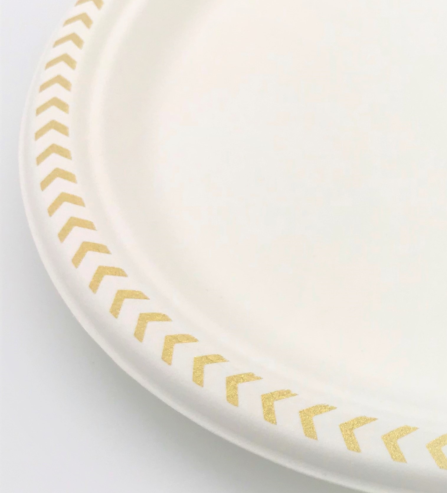 The Fancy Dime Disposable Paper Plate: Heavy Duty, Elegant, Eco-Friendly,  Compostable Paper Plates (50 Count), Tree Free Sugarcane Bagasse Plate with